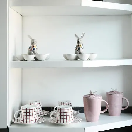 Comecasa Citta Studi Terraced 公寓 米兰